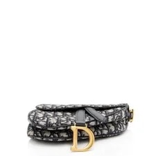 Dior Logo Saddle 4