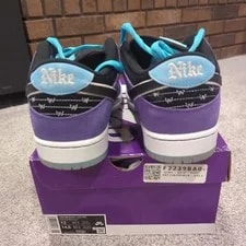 Nike SB — Nike SB Hayley Wilson Dunk Low Pro Size 13 HJ0513-500 Worn 1x 💜💙 — Sneaker — resale