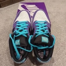 Nike SB Hayley Wilson Dunk Low Pro Size 13 HJ0513-500 Worn 1x 💜💙 2