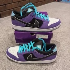 Nike SB Hayley Wilson Dunk Low Pro Size 13 HJ0513-500 Worn 1x 💜💙 4