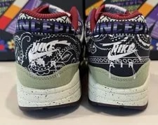 Nike Air Max 1 SP Concepts Mellow [Size 9-10.5 ] *Fast Ship* New! DN1803-300 4