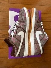 10.0US Nike Sb Dunk Low Pro Prm Paisley 4