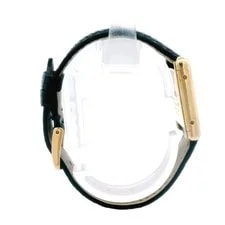 Cartier Tank Small Plaque G20M Custom Band 3