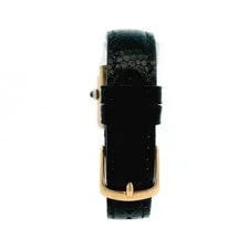 Cartier Tank Small Plaque G20M Custom Band 4