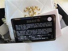 Chanel 19 Flap Coin Chain 3
