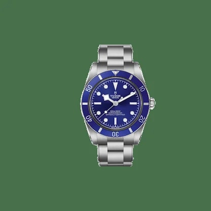 Tudor — Tudor Black Bay 54 — Watch — resale