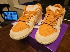 Nike SB Dunk Low Trocadero Gardens Size US 10.5 New in Box 3