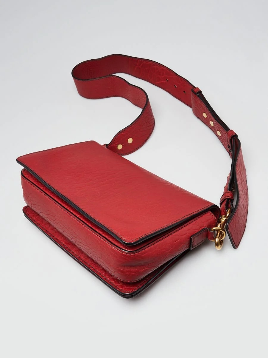 Christian Dior Pebbled Dio(r)evolution Flap 3