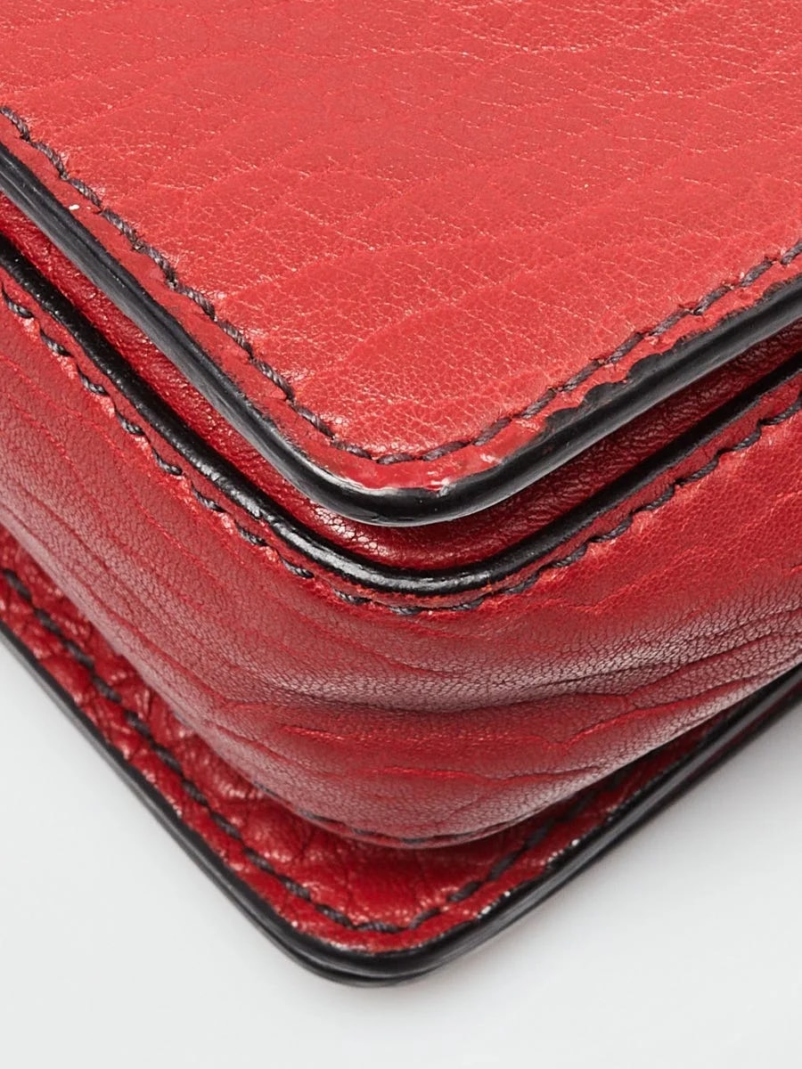 Christian Dior Pebbled Dio(r)evolution Flap 4