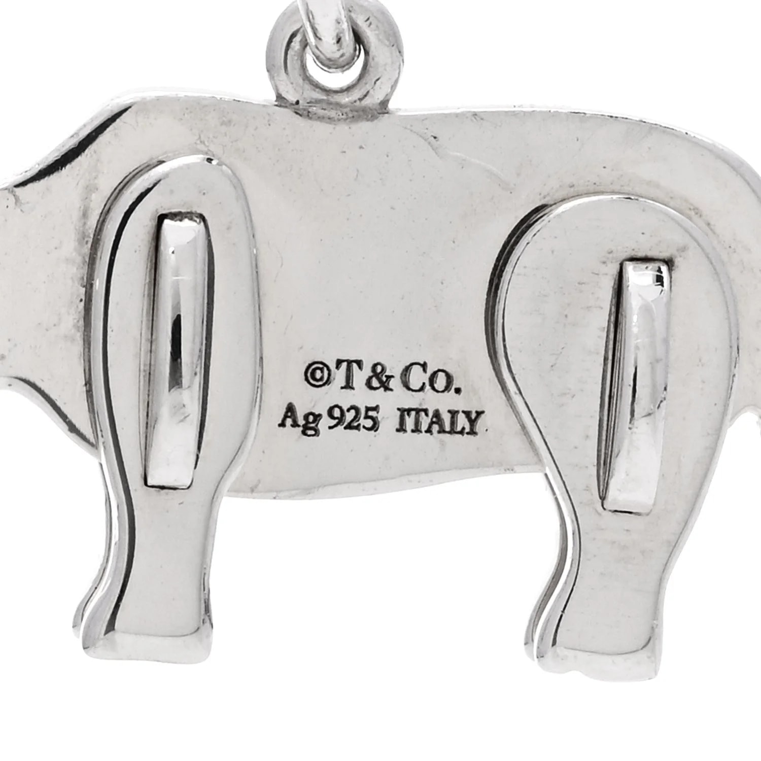 Save the Wild Rhino Charm 4