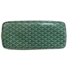 Goyard Cyan Coating 4