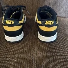 Nike Low Dunk 3