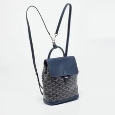 Goyard Alpin and Backpack 3