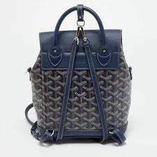 Goyard Alpin and Backpack 4