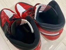9.5US Air Jordan 1 Homage 4