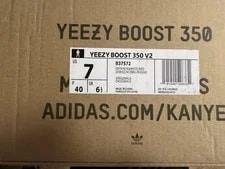 Yeezy Boost 350 Frozen 3