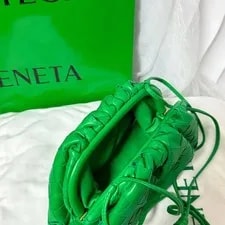 Bottega Veneta the Pouch (Mandu ) 2