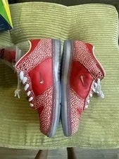 Nike SB Stingwater MagicMushroom Size 10.5 OG Box 2