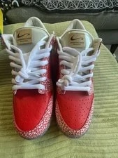 Nike SB Stingwater MagicMushroom Size 10.5 OG Box 4