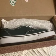 Vans — Vans Skate Authentic Theory Shoes Size 7.5 (W 9.0) — Sneaker — resale