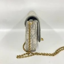 Dior Light Saddle Chain Crossbody 2