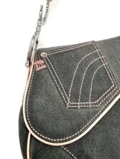 Dior Galliano and Saddle 3
