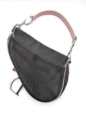 Dior Galliano and Saddle 4
