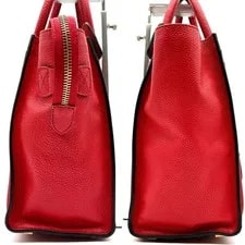 Celine Luggage Shopper Color Chic Auth 4