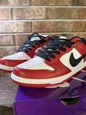 Nike SB Dunk Low J-Pack Size 11 Vnds 3