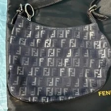 Fendi Logo Zip Closure Strap Dust 2