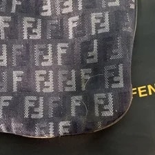 Fendi Logo Zip Closure Strap Dust 4