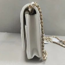 Chanel Classic Flap Crossbody Wallet on Chain WOC 4