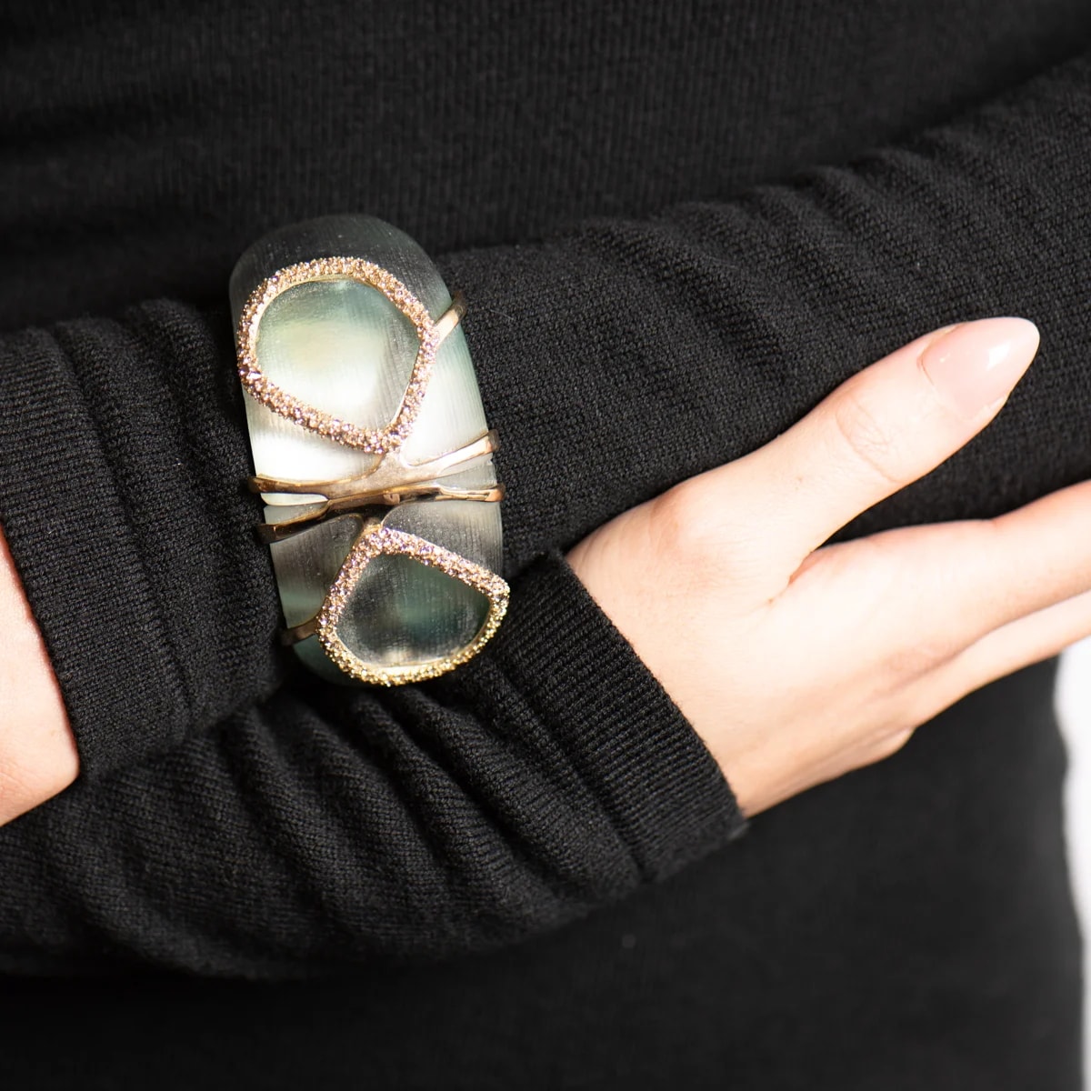 Alexis Bittar Wide Lucite and Hinged Bangle 2