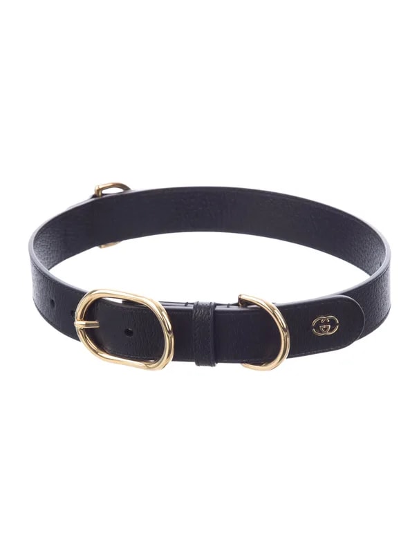 Dog Demetra Pet Collar 2
