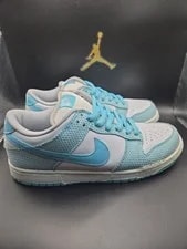 Size 9 - Nike Dunk SB Low High Hair 2