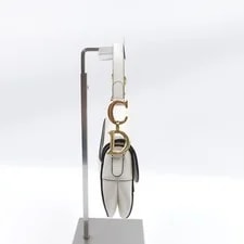 Dior Saddle T10414808 4