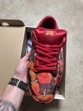 Size 10.5M/12W - Nike SB Dunk Low the Wizard of Oz Field FZ1291-600 3