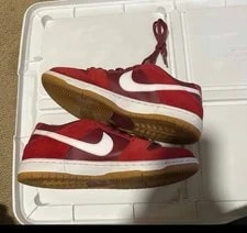 Nike SB Zoom Dunk Low Pro Track 854866-616 Size 7 ’s 2