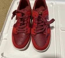 Nike SB Zoom Dunk Low Pro Track 854866-616 Size 7 ’s 3