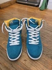 Nike SB Dunk High Topical Sz10. No Box 2