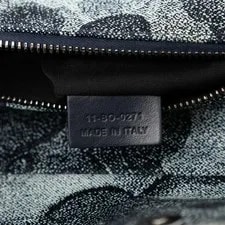 Christian Dior Peter Doig Auth 2