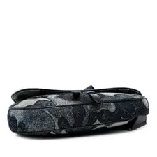 Christian Dior Peter Doig Auth 3