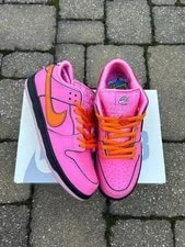 Nike SB Dunk Low Pro Skate Shoes Lotus New 2