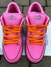 Nike SB Dunk Low Pro Skate Shoes Lotus New 3