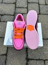Nike SB Dunk Low Pro Skate Shoes Lotus New 4