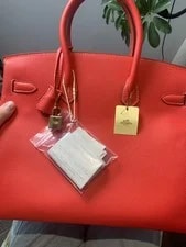 Hermes Birkin 35 Pivoine GHW Square P Auth 4