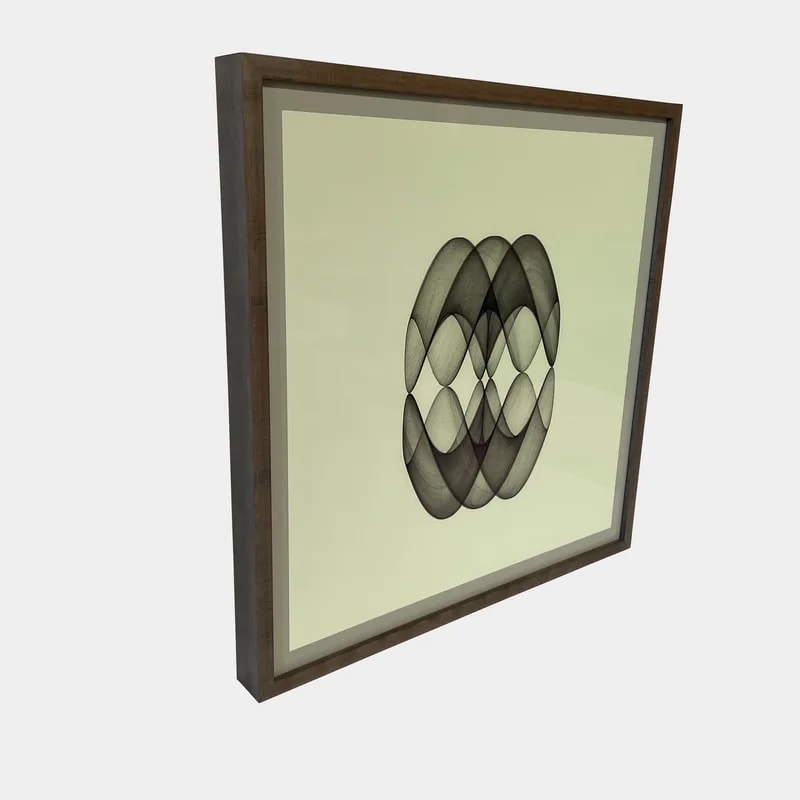 Framed Print: Anima 2