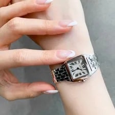 Cartier Santos de Moiselle SM SS 3