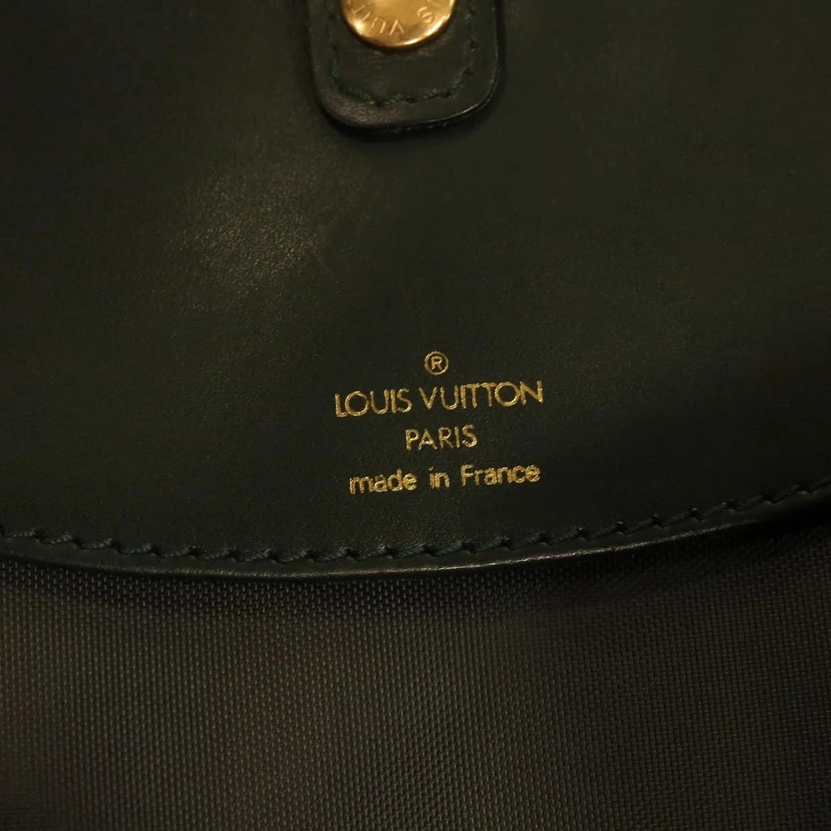 Louis Vuitton Garment Cover Travel 4