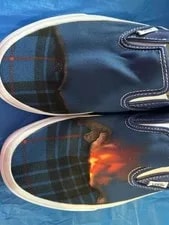 Vans Shoes Volcano 6.5 SB3-373 4
